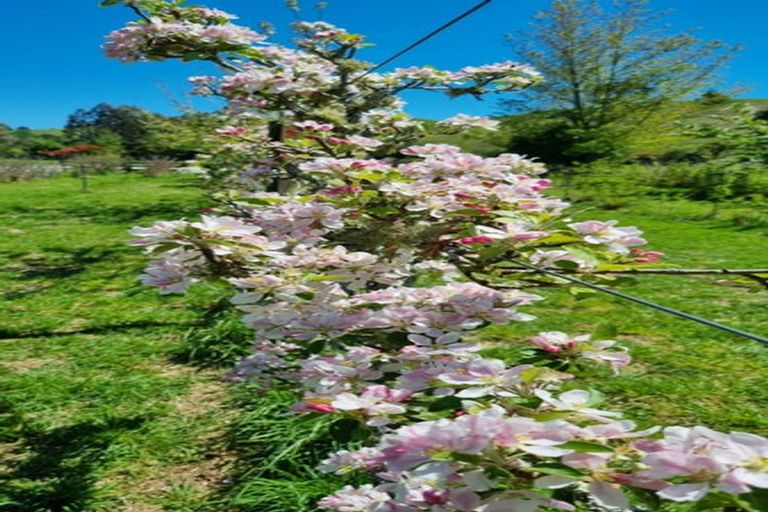 Photo of property in 299 Whangamata Road, Kinloch, Taupo, 3377