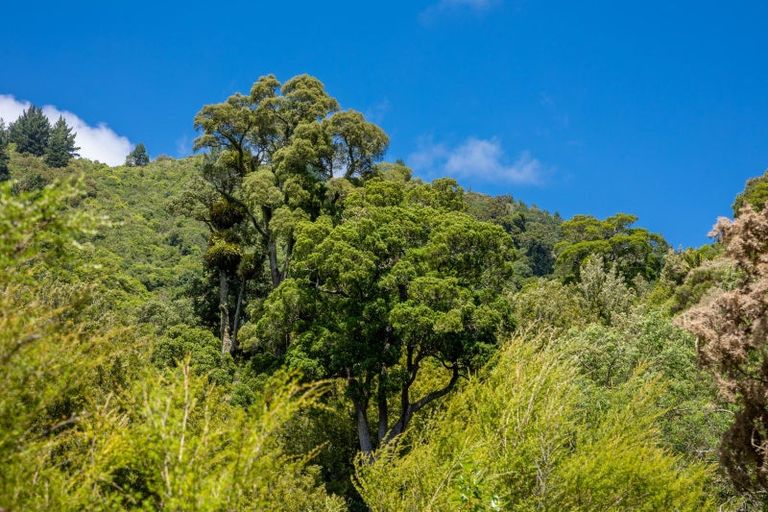 Photo of property in 185 Kanuka Rise, Wakapuaka, Nelson, 7071