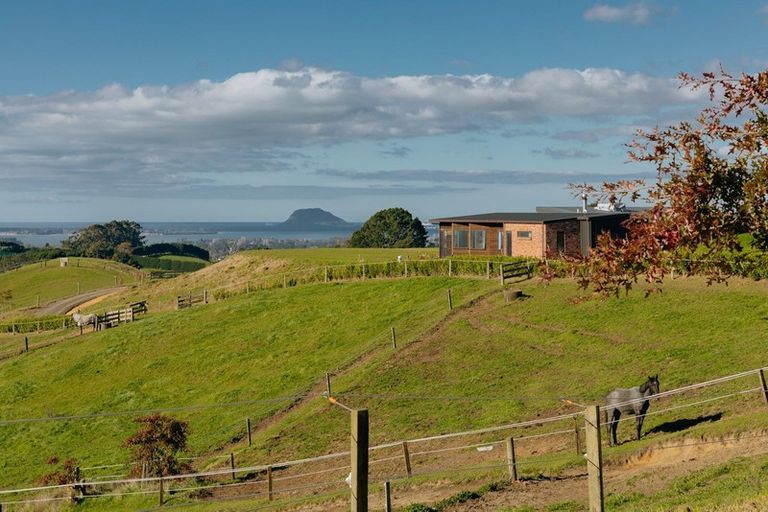 Photo of property in 619a Esdaile Road, Whakamarama, Tauranga, 3180