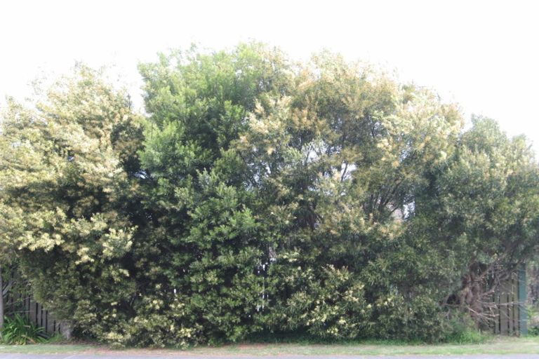 Photo of property in 415 Achilles Avenue, Whangamata, 3620