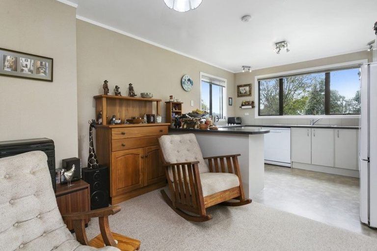 Photo of property in 2879 Arapuni Road, Pukeatua, 3880