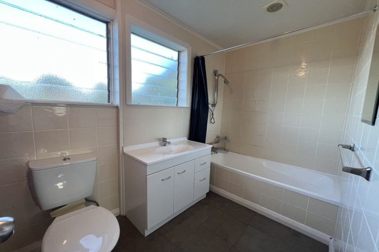 Photo of property in 111 Limbrick Street, Terrace End, Palmerston North, 4410
