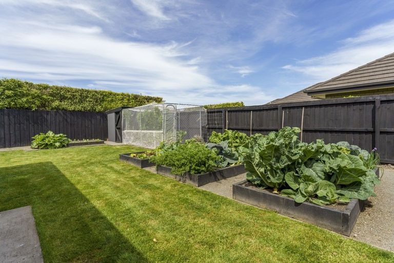 Photo of property in 6 Tauhinu Avenue, Lincoln, 7608