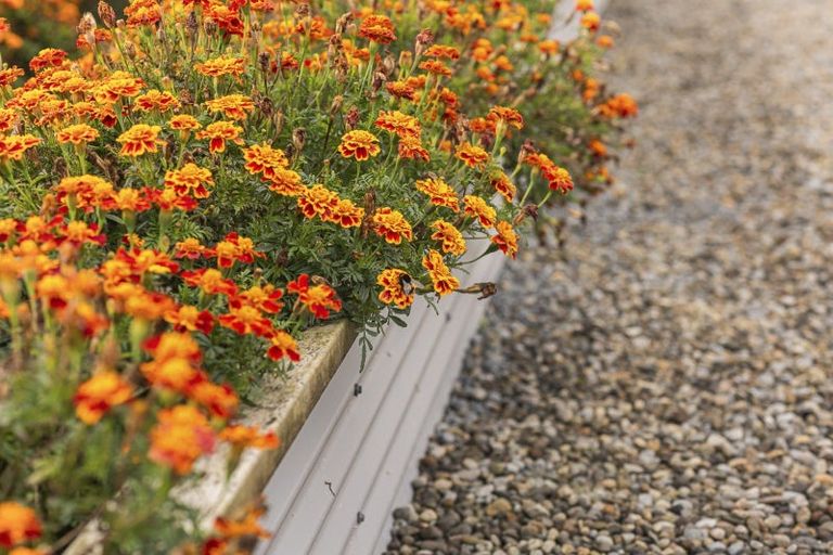 Photo of property in 37 Upper Pitone Road, Pitone, New Plymouth, 4374