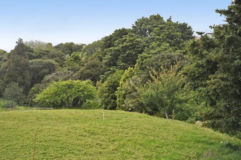 Photo of property in 55 Hauraki Road, Leigh, Warkworth, 0985