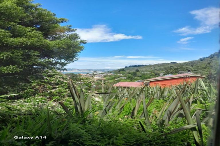 Photo of property in 51 Ellesmere Street, Ravensbourne, Dunedin, 9022