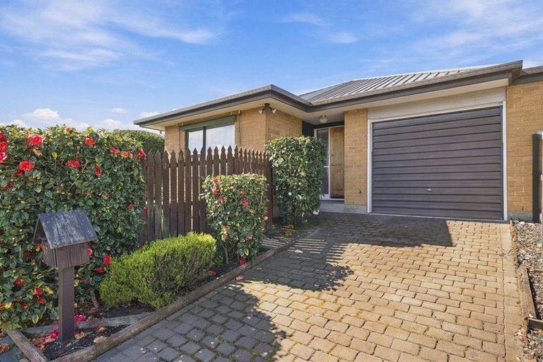 Photo of property in 33a Shannon Place, Belfast, Christchurch, 8051