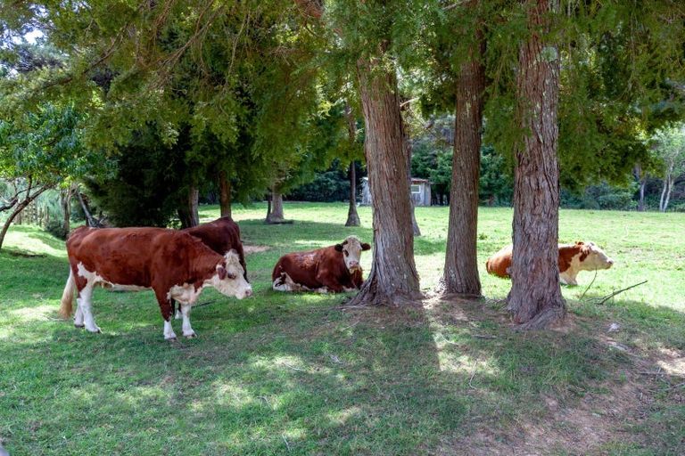Photo of property in 1094 Kennedy Bay Road, Kennedy Bay, Coromandel, 3583