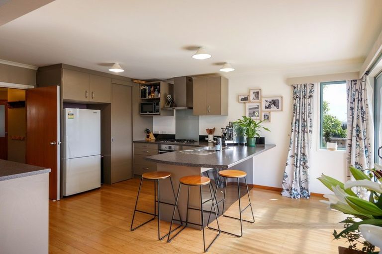 Photo of property in 24 Northfield Avenue, Opoho, Dunedin, 9010