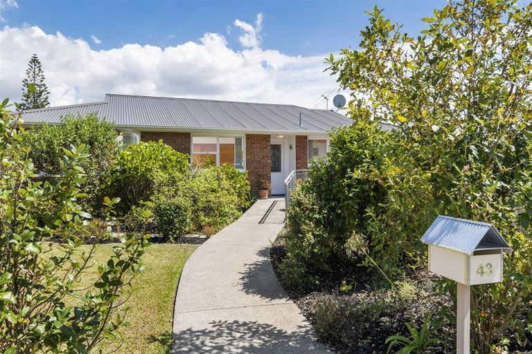 Photo of property in 43 Newhaven Terrace, Mairangi Bay, Auckland, 0630