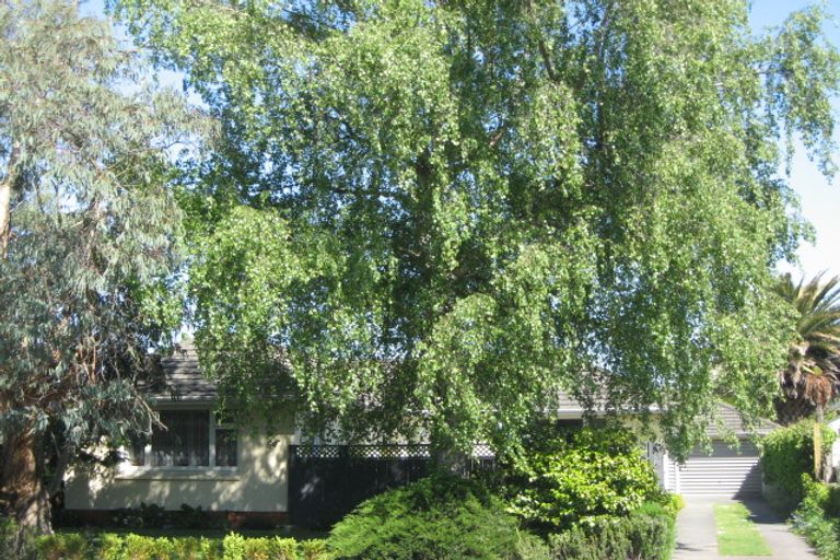 Photo of property in 171 Grimseys Road, Redwood, Christchurch, 8051