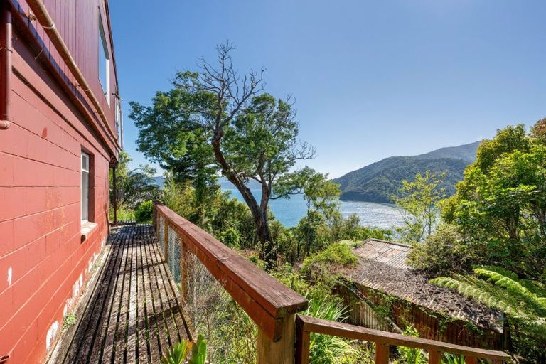 Photo of property in 308 Port Underwood Road, Whatamango Bay, Picton, 7281