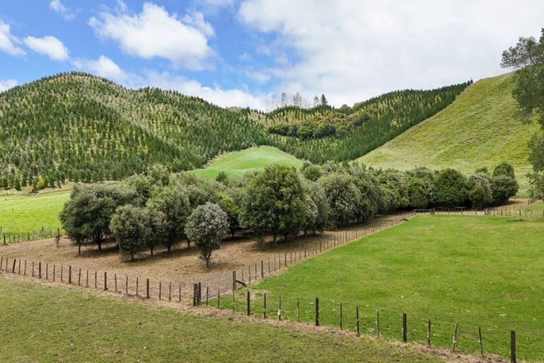 Photo of property in 1 Waimangu Road, Tumunui, Rotorua, 3073