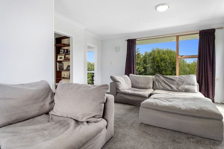 Photo of property in 98a Poplar Lane, Edgecumbe, Whakatane, 3192