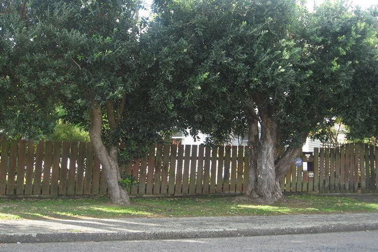 Photo of property in 19 Te Miti Street, Paekakariki, 5034