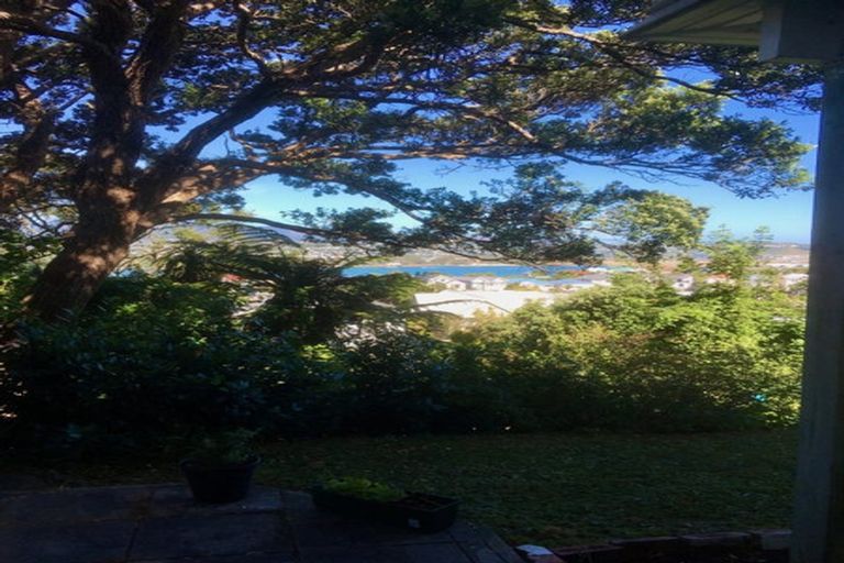 Photo of property in 77 Rakau Road, Hataitai, Wellington, 6021