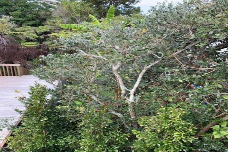 Photo of property in 2a Bronwyn Place, Torbay, Auckland, 0630