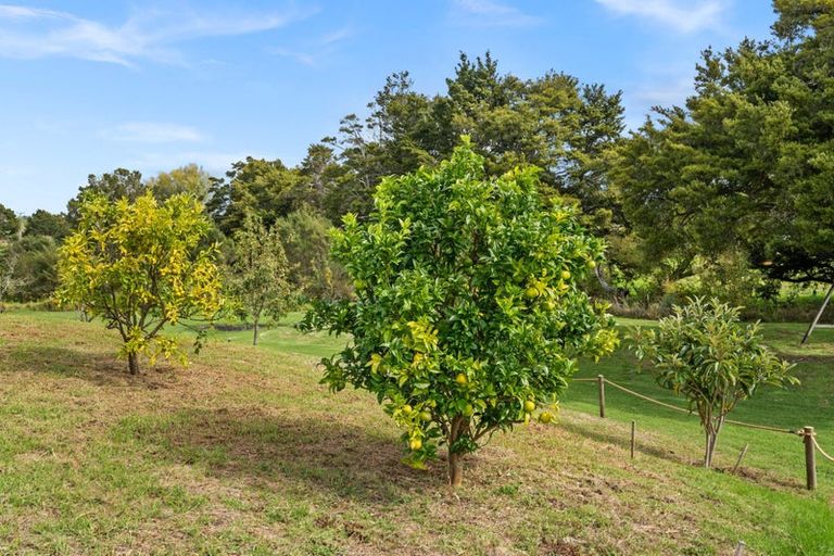 Photo of property in 6 Tavinor Road, Otaika, Whangarei, 0170