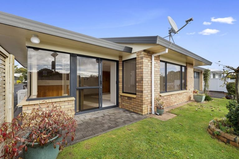 Photo of property in 17a Huatoki Street, Vogeltown, New Plymouth, 4310