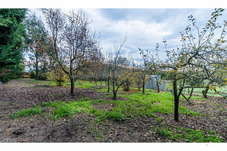 Photo of property in 293 Pleasant Point Highway, Levels, Timaru, 7975