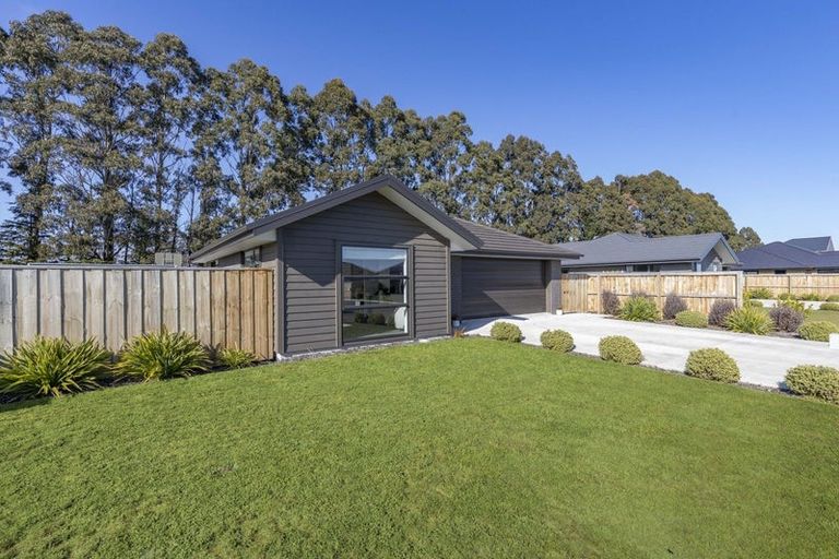 Photo of property in 22 Cooney Avenue, Darfield, 7571