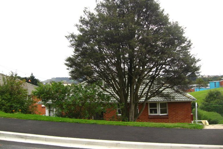 Photo of property in 12 Panmure Avenue, Calton Hill, Dunedin, 9012