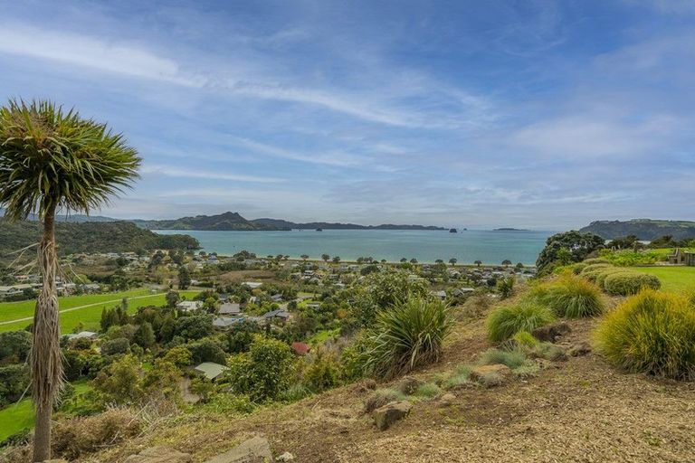 Photo of property in 899f Purangi Road, Cooks Beach, Whitianga, 3591