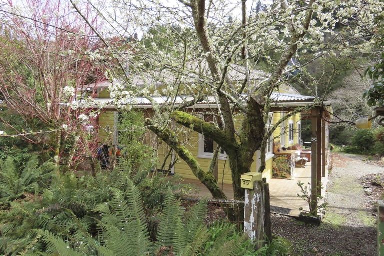 Photo of property in 25 Andersen Street, Blacks Point, Reefton, 7830