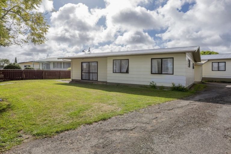 Photo of property in 13 Adkin Avenue, Levin, 5510