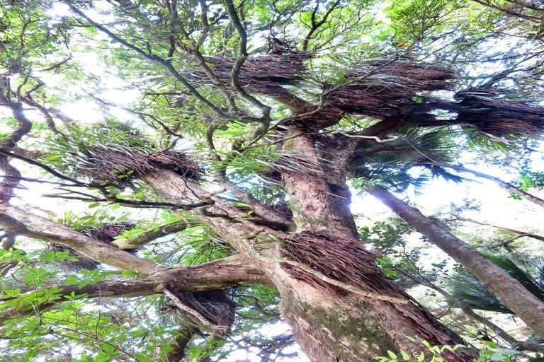 Photo of property in 42b Dutton Road, Peria, Kaitaia, 0482