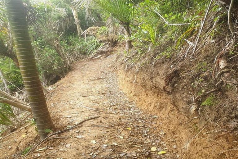 Photo of property in 73 Webb Road, Helena Bay, Hikurangi, 0184