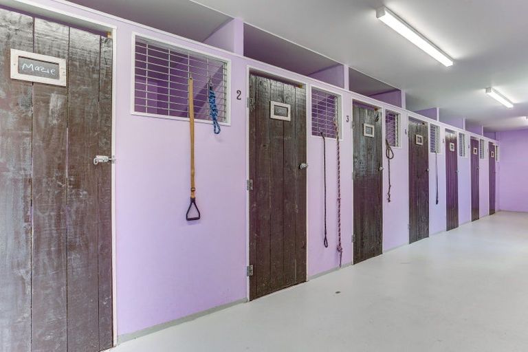 Photo of property in 207 Roberts Avenue, Aramoho, Whanganui, 4584