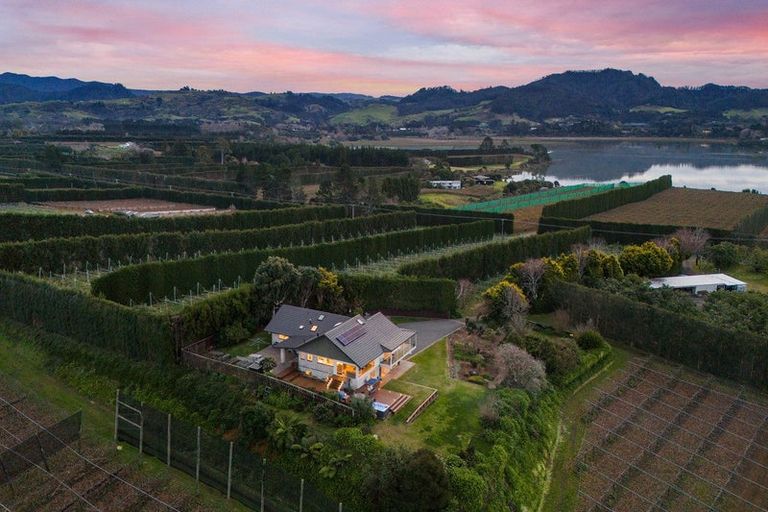 Photo of property in 252 Tuapiro Road, Tahawai, Katikati, 3170