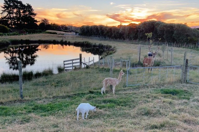 Photo of property in 27 Raukawa Road, Peka Peka, Waikanae, 5391