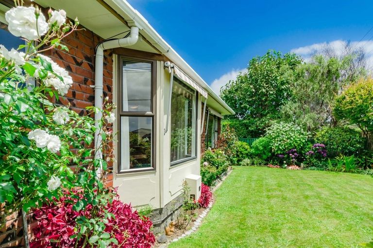 Photo of property in 50 Rimu Street, Waikanae, 5036