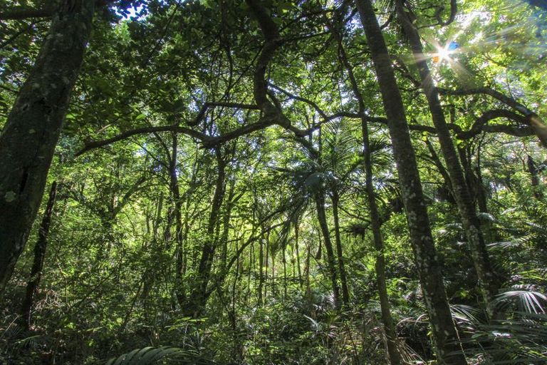 Photo of property in 10 Goudie Road, Helensville, 0875