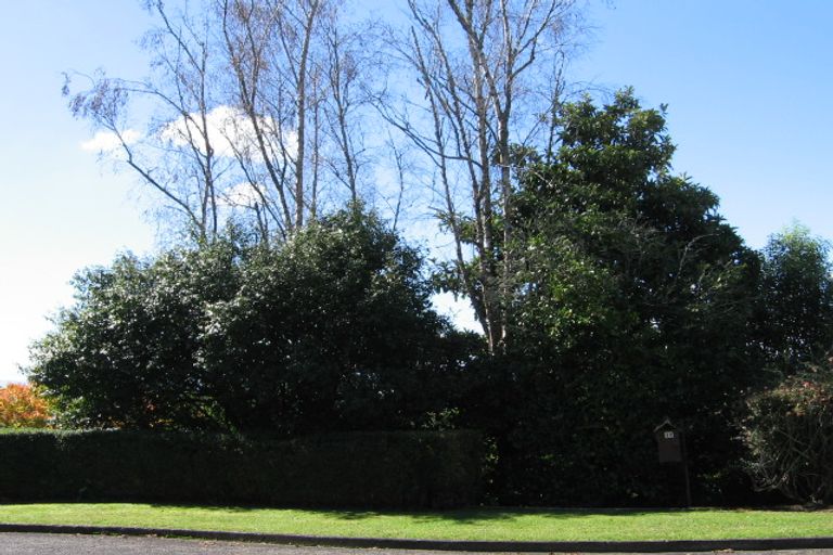 Photo of property in 15 Norrie Place, Putaruru, 3411