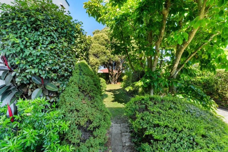 Photo of property in 11 Coleman Terrace, Hospital Hill, Napier, 4110