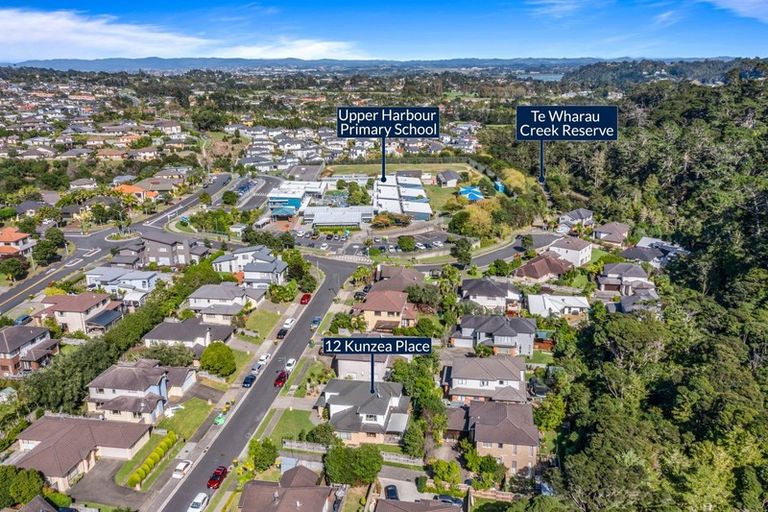 Photo of property in 12 Kunzea Place, Greenhithe, Auckland, 0632