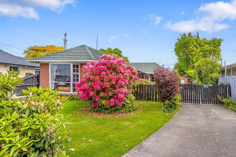 Photo of property in 41 Hindess Street, Halswell, Christchurch, 8025