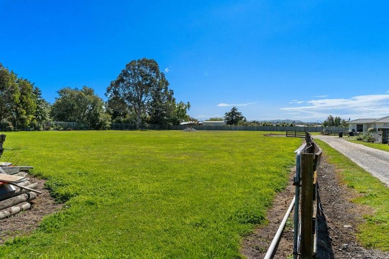 Photo of property in 31 Millard Avenue, Kuripuni, Masterton, 5810