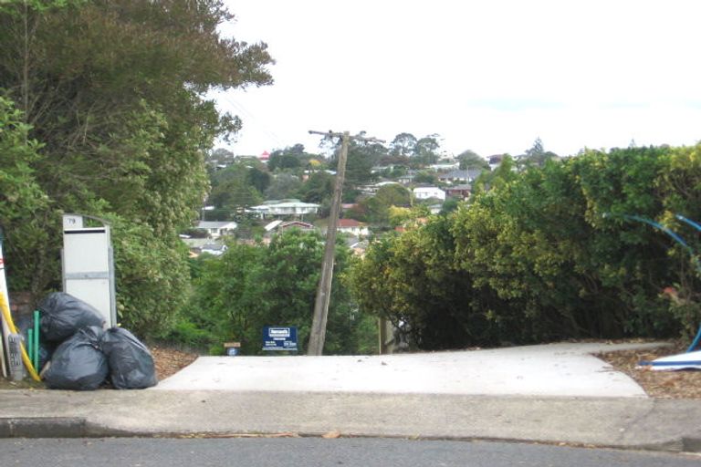 Photo of property in 79 Buscomb Avenue, Henderson, Auckland, 0610