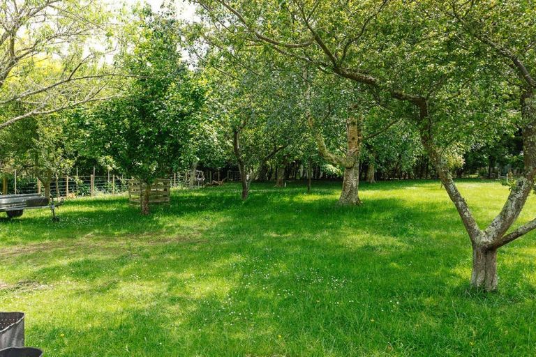 Photo of property in 148 Tipapakuku Road, Dannevirke, 4930