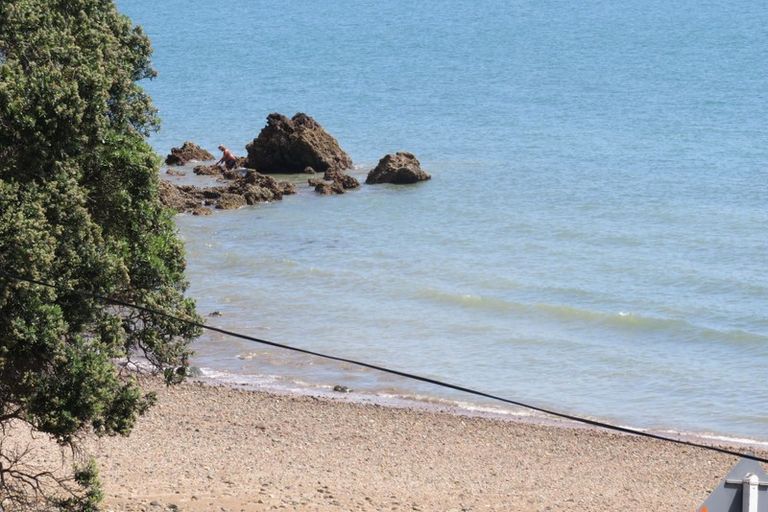 Photo of property in 600 Thames Coast Sh25 Road, Waiomu, Thames, 3575