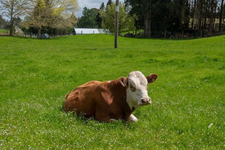 Photo of property in 60 Fryer Road, Hamurana, Rotorua, 3097