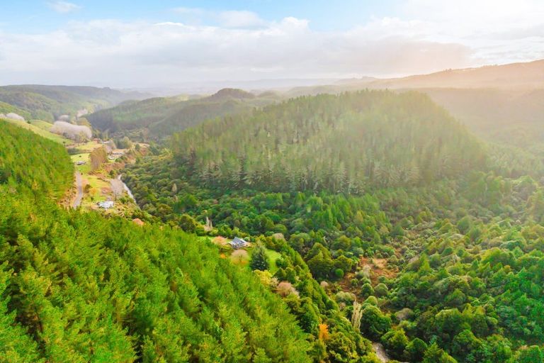 Photo of property in 2005 Ongarue Stream Road, Waimiha, 3998