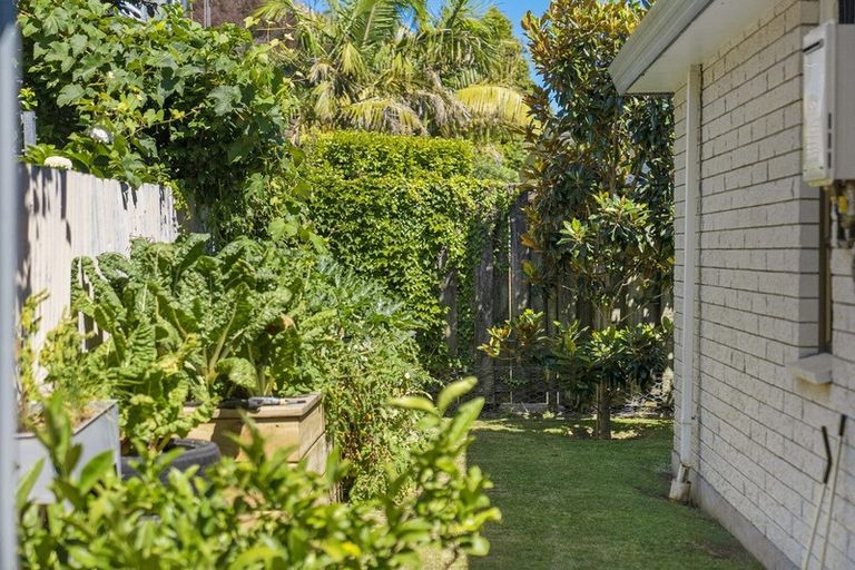 Photo of property in 27a Rushton Avenue, Otumoetai, Tauranga, 3110