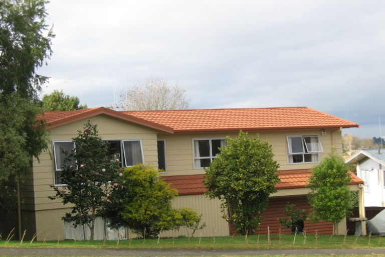 Photo of property in 20 Maple Avenue, Dinsdale, Hamilton, 3204