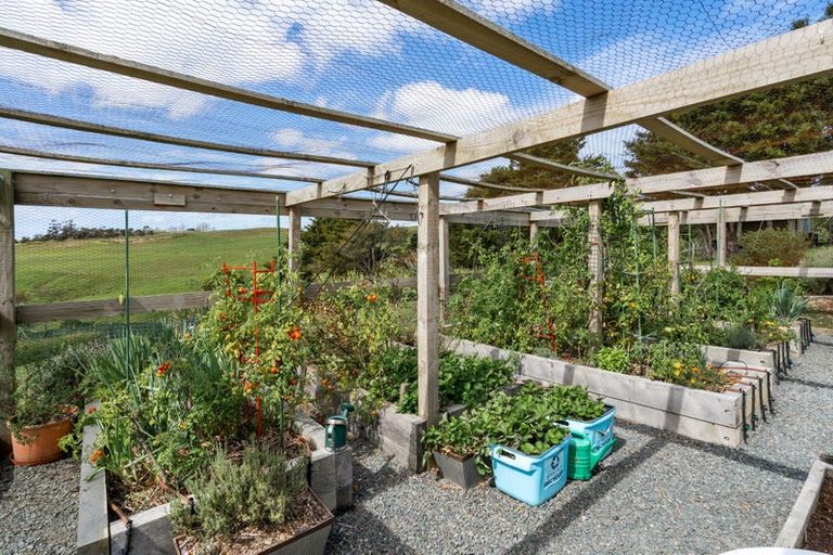 Photo of property in 37 Cotton Lane, Mangawhai, Wellsford, 0975