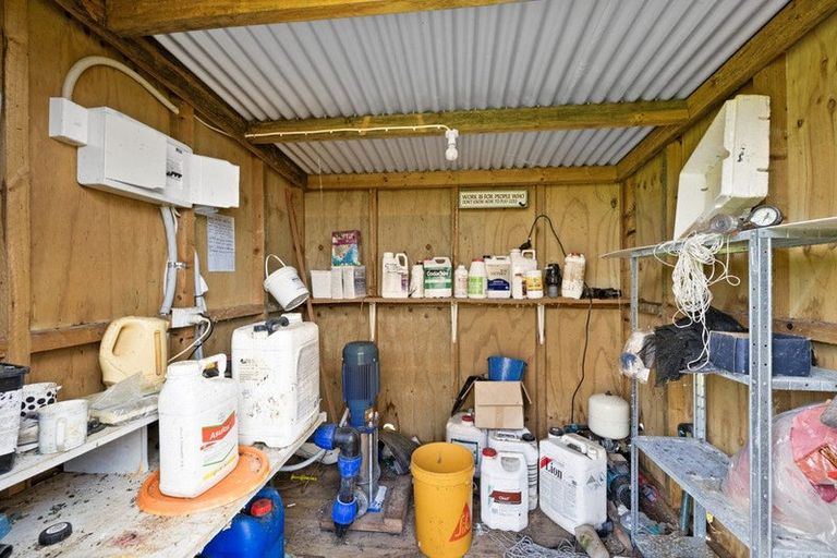 Photo of property in 379 Tara Road, Mangawhai, Kaiwaka, 0573